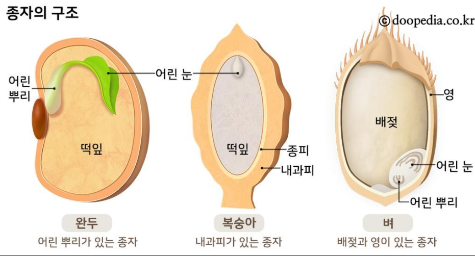 건강한 토양, 살아있는 생명 활동, Living Soil, Healthy Soil - 어떤사람